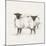 Folksie sheep I-Ethan Harper-Mounted Art Print