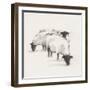 Folksie sheep II-Ethan Harper-Framed Art Print