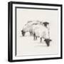 Folksie sheep II-Ethan Harper-Framed Art Print