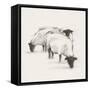 Folksie sheep II-Ethan Harper-Framed Stretched Canvas