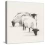 Folksie sheep II-Ethan Harper-Stretched Canvas