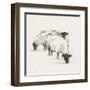 Folksie sheep II-Ethan Harper-Framed Art Print