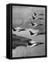 Folland Gnat Was Introduced to the Press at the RAF Valley Station-null-Framed Stretched Canvas