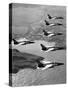 Folland Gnat Was Introduced to the Press at the RAF Valley Station-null-Stretched Canvas