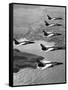 Folland Gnat Was Introduced to the Press at the RAF Valley Station-null-Framed Stretched Canvas