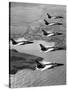 Folland Gnat Was Introduced to the Press at the RAF Valley Station-null-Stretched Canvas