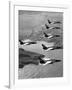 Folland Gnat Was Introduced to the Press at the RAF Valley Station-null-Framed Photographic Print