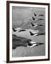 Folland Gnat Was Introduced to the Press at the RAF Valley Station-null-Framed Photographic Print