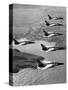 Folland Gnat Was Introduced to the Press at the RAF Valley Station-null-Stretched Canvas