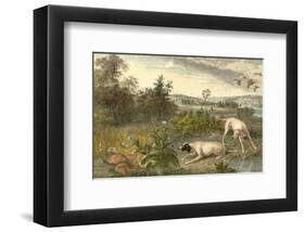 Folle et Mitte-null-Framed Art Print