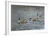 Follow Me-Bruce Dumas-Framed Giclee Print