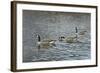 Follow Me-Bruce Dumas-Framed Giclee Print