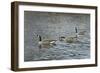 Follow Me-Bruce Dumas-Framed Giclee Print