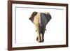 Follow the Leader - Pure-Peter Adams-Framed Giclee Print