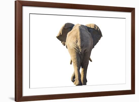 Follow the Leader - Pure-Peter Adams-Framed Giclee Print