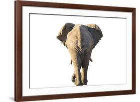 Follow the Leader - Pure-Peter Adams-Framed Giclee Print