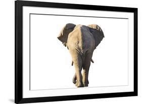 Follow the Leader - Pure-Peter Adams-Framed Giclee Print