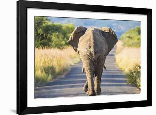 Follow the Leader-null-Framed Giclee Print