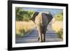 Follow the Leader-null-Framed Giclee Print