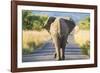 Follow the Leader-null-Framed Giclee Print