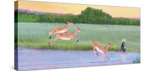 Follow The Leader-Nancy Tillman-Stretched Canvas