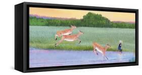 Follow The Leader-Nancy Tillman-Framed Stretched Canvas