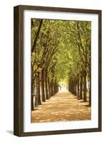 Follow the Path I-Karyn Millet-Framed Photographic Print