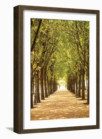 Follow the Path I-Karyn Millet-Framed Photographic Print