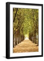 Follow the Path I-Karyn Millet-Framed Photographic Print