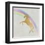 Follow the Rainbow 2-Kimberly Allen-Framed Art Print