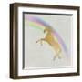 Follow the Rainbow 2-Kimberly Allen-Framed Art Print