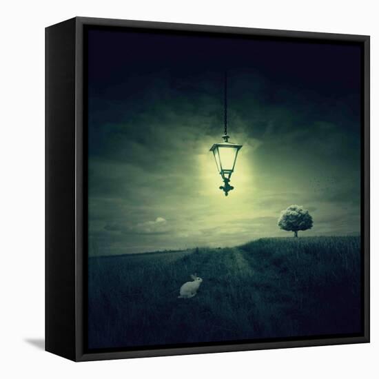 Follow the White Rabbit-Philippe Sainte-Laudy-Framed Stretched Canvas