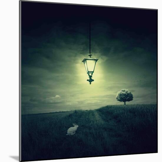 Follow the White Rabbit-Philippe Sainte-Laudy-Mounted Photographic Print