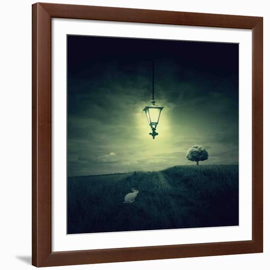 Follow the White Rabbit-Philippe Sainte-Laudy-Framed Photographic Print