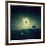 Follow the White Rabbit-Philippe Sainte-Laudy-Framed Photographic Print