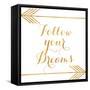 Follow Your Dreams with Arrows-Elizabeth Medley-Framed Stretched Canvas