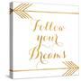 Follow Your Dreams with Arrows-Elizabeth Medley-Stretched Canvas