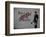 Follow your dreams-Banksy-Framed Giclee Print