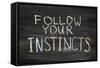 Follow Your Instincts-Yury Zap-Framed Stretched Canvas