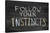 Follow Your Instincts-Yury Zap-Stretched Canvas