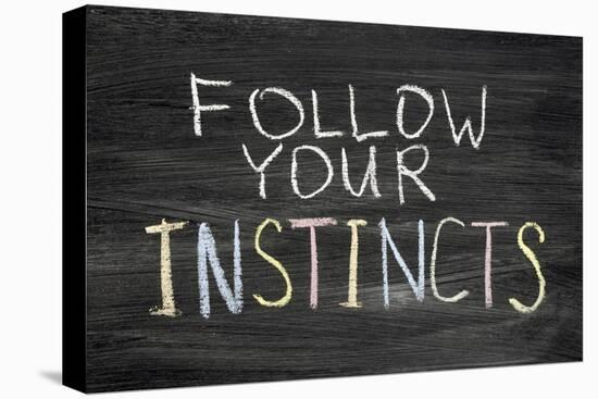 Follow Your Instincts-Yury Zap-Stretched Canvas