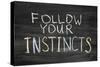 Follow Your Instincts-Yury Zap-Stretched Canvas