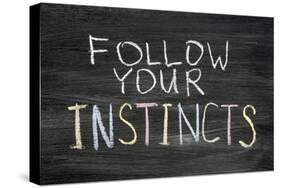 Follow Your Instincts-Yury Zap-Stretched Canvas