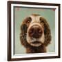 Follow Your Nose 14-Lucia Heffernan-Framed Art Print