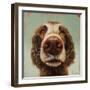 Follow Your Nose 14-Lucia Heffernan-Framed Art Print