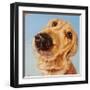 Follow Your Nose 4-Lucia Heffernan-Framed Art Print