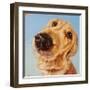 Follow Your Nose 4-Lucia Heffernan-Framed Art Print