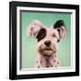 Follow Your Nose 8-Lucia Heffernan-Framed Art Print