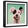 Follow Your Nose 8-Lucia Heffernan-Framed Art Print