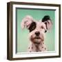 Follow Your Nose 8-Lucia Heffernan-Framed Art Print